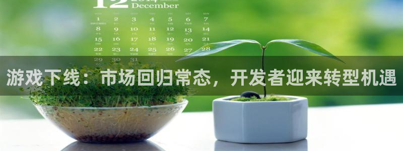 杏耀电子商务有限公司怎么样