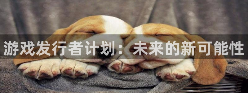 杏耀官网客服服务电话：游戏发行者计划：未来的新可能性