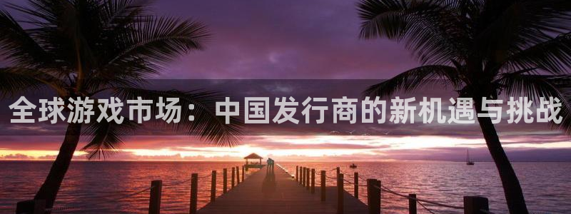 杏耀官网登录注册账号：全球游戏市场：中国发行商的新机遇与挑战