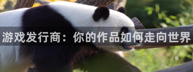 杏耀电子商务怎么样