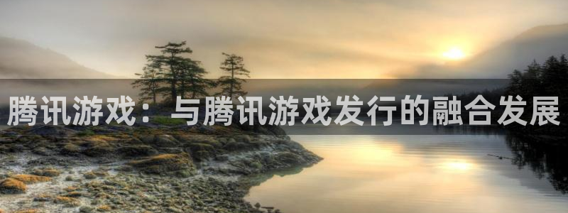 杏耀官网注册平台是什么公司：腾讯游戏：与腾讯游戏发行的融合发展
