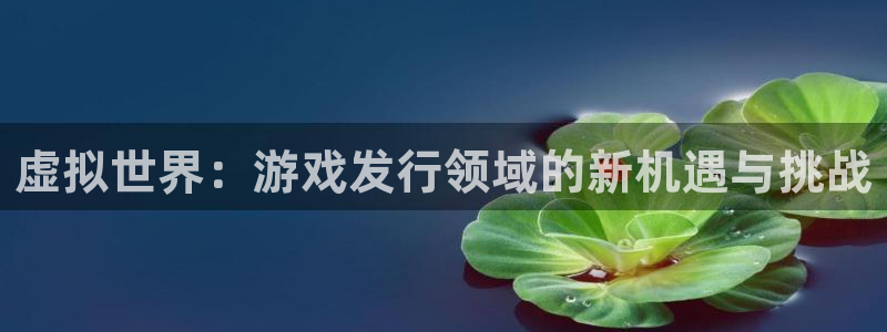 杏耀官网登录注册失败怎么回事：虚拟世界：游戏发行领域的新机遇与挑战