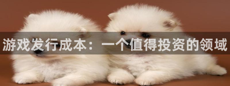 杏耀官网注册登录官网：游戏发行成本：一个值得投资的领域