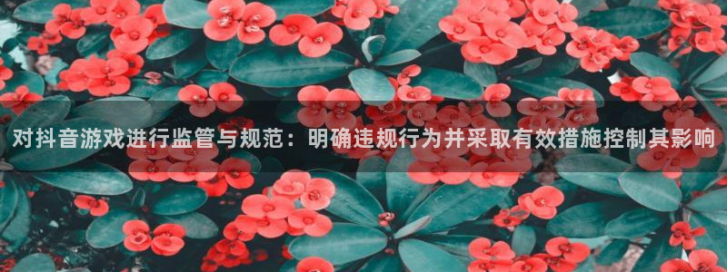 杏耀子签约作家：对抖音游戏进行监管与规范：明确违规行为并采取有效措施控制其影响