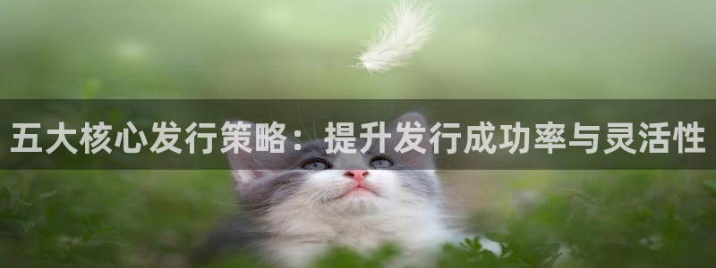 杏耀庄园：五大核心发行策略：提升发行成功率与灵活性