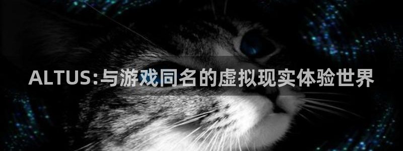 杏耀防水的质量怎么样